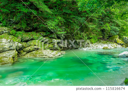 令人印象深刻的安井谷 令人印象深刻的安井谷 115816674