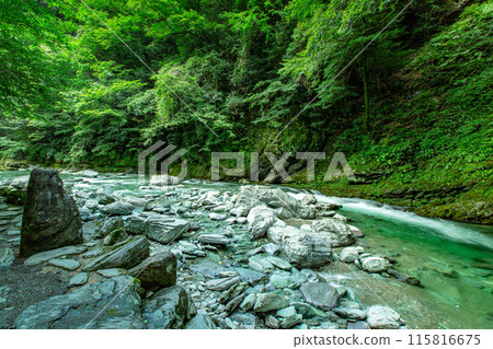 令人印象深刻的安井谷 115816675