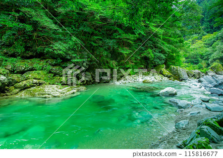 令人印象深刻的安井谷 令人印象深刻的安井谷 115816677