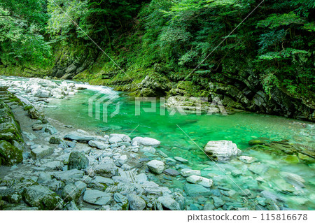 令人印象深刻的安井谷 令人印象深刻的安井谷 115816678