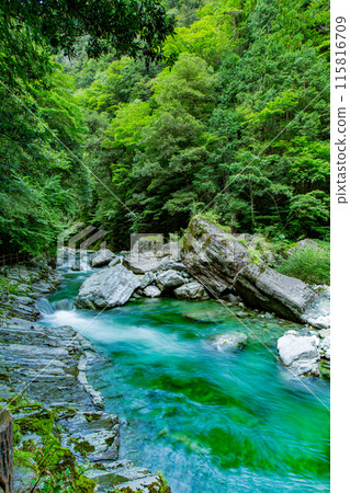 令人印象深刻的安井谷 令人印象深刻的安井谷 115816709