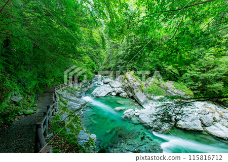 The impressive Yasui Valley The impressive Yasui Valley 115816712