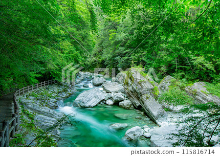 令人印象深刻的安井谷 115816714