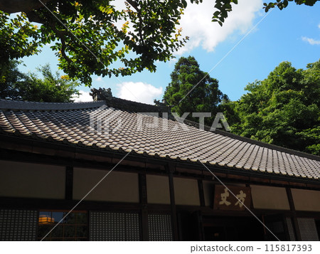 Scenery and plants of Meigetsu-in Temple in Kita-Kamakura 115817393