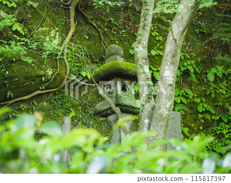 Scenery and plants of Meigetsu-in Temple in Kita-Kamakura Scenery and plants of Meigetsu-in Temple in Kita-Kamakura 115817397