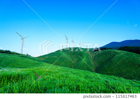 A view of wind power plants towering over the vast outdoors against the backdrop of a blue sky (Aso Nishihara Wind Farm) 115817463
