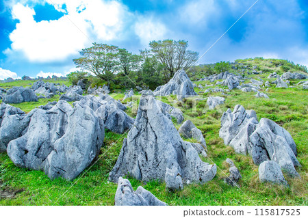 Shikoku Karst Heaven's Road Shikoku Karst Heaven's Road 115817525