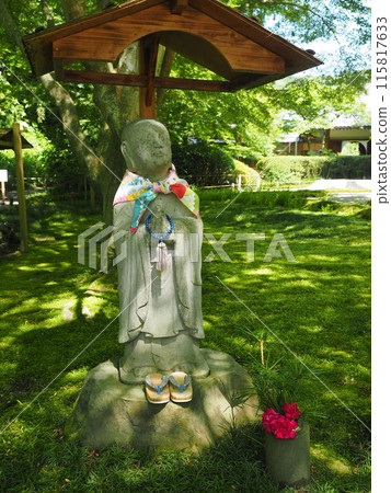 北鎌倉明月院的風景與植物 北鎌倉明月院的風景與植物 115817633