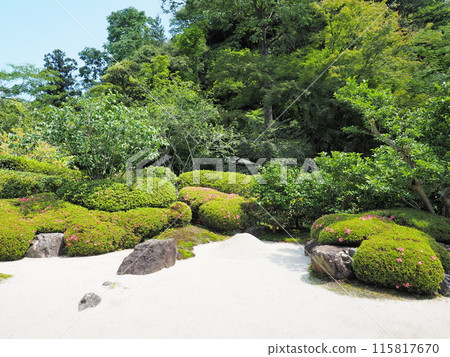 Scenery and plants of Meigetsu-in Temple in Kita-Kamakura Scenery and plants of Meigetsu-in Temple in Kita-Kamakura 115817670