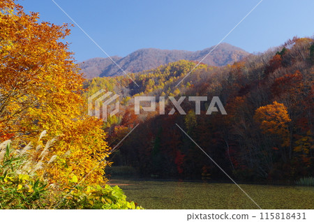 深秋的里盤台/大澤沼 深秋的里盤台/大澤沼 115818431