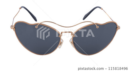 Sunglasses. Accessory on white background Sunglasses. Accessory on white background 115818496