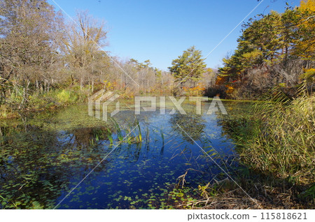 深秋的里盤台和姬沼 深秋的里盤台和姬沼 115818621