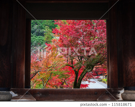 秋天的京都南禪寺三門 115818671