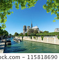 Majestic Notre Dame 115818690