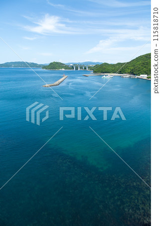 Kameura Tourist Port in Naruto City, Tokushima Prefecture 115818710