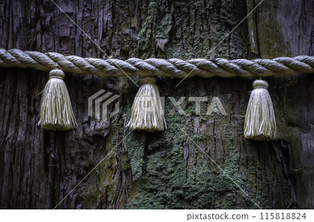 大岩神社、大岩山的三棵杉注連繩 115818824