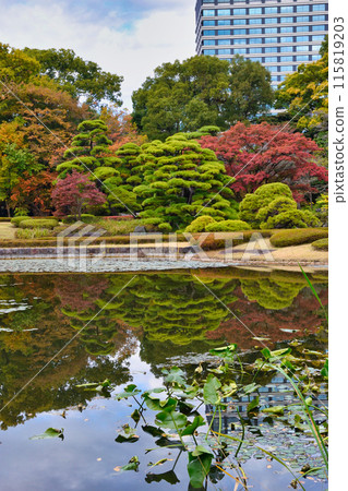 皇居東御苑二之丸庭園及二之丸池(東京都千代田區) 皇居東御苑二之丸庭園及二之丸池(東京都千代田區) 115819203