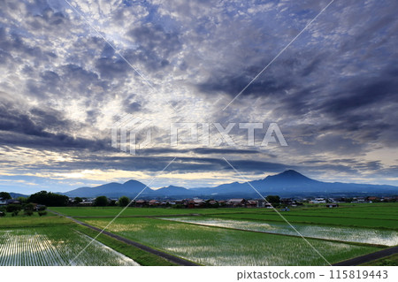 Rural landscape with rice fields and spring at Mt. Hoki Daisen Rural landscape with rice fields and spring at Mt. Hoki Daisen 115819443