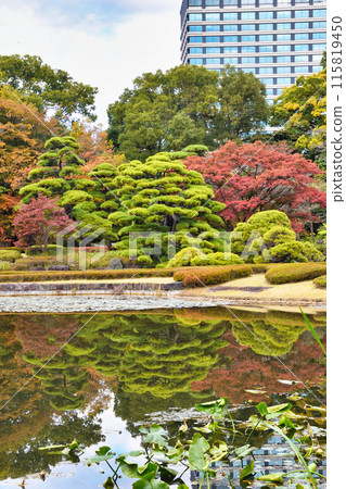 皇居東御苑二之丸庭園及二之丸池（東京都千代田區） 115819450