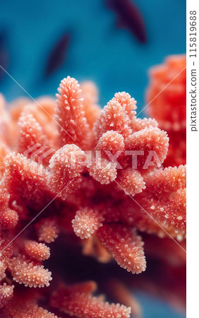 白化珊瑚 白化珊瑚 115819688