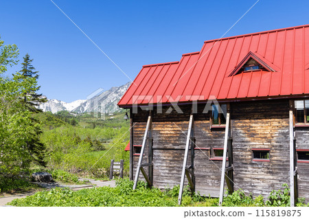 初夏的長野縣梔池,綠意盎然 初夏的長野縣梔池,綠意盎然 115819875