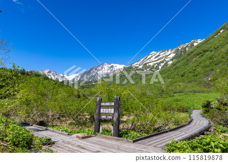 初夏的長野縣梔池，綠意盎然 115819878