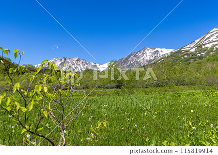 初夏的長野縣梔池，綠意盎然 115819914