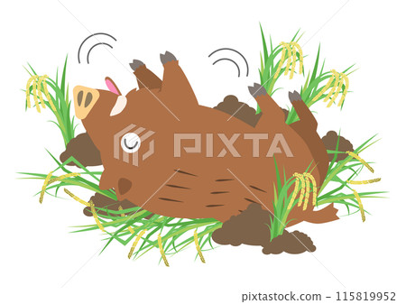 An illustration of a wild boar playing in the mud in a rice field and destroying rice An illustration of a wild boar playing in the mud in a rice field and destroying rice 115819952