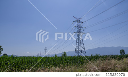 electric poles in the middle of the field 115820070