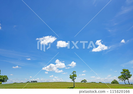 初夏的藍天和草地 初夏的藍天和草地 115820166