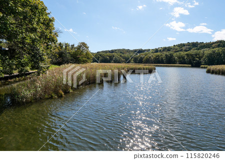 靜岡縣伊東市一碧湖（沼池） 115820246
