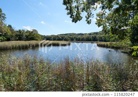 Lake Ippeki (Numaike), Ito City, Shizuoka Prefecture Lake Ippeki (Numaike), Ito City, Shizuoka Prefecture 115820247