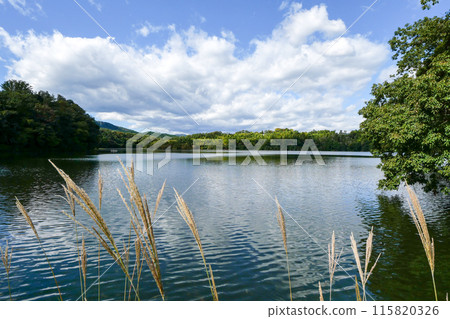 靜岡縣伊東市一碧湖（大池） 115820326
