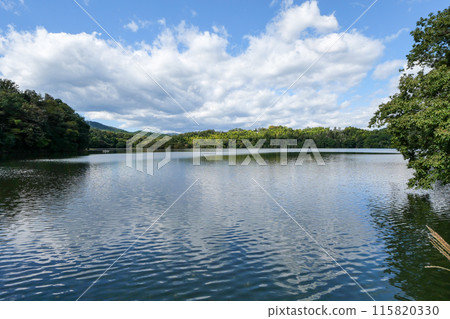 Lake Ippeki (large pond), Ito City, Shizuoka Prefecture Lake Ippeki (large pond), Ito City, Shizuoka Prefecture 115820330