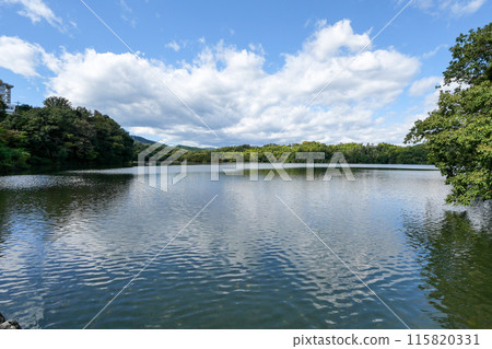 Lake Ippeki (large pond), Ito City, Shizuoka Prefecture 115820331