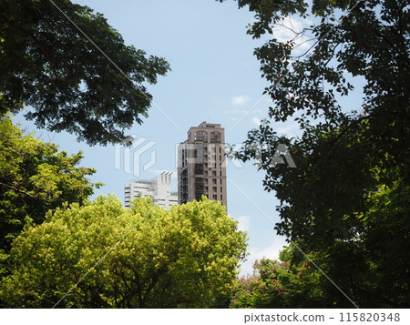 Skyscrapers peeking out from between the green trees of the park, 115820348