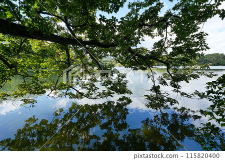 靜岡縣伊東市一碧湖(大池) 靜岡縣伊東市一碧湖(大池) 115820400