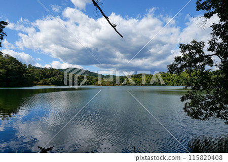 靜岡縣伊東市一碧湖（大池） 115820408