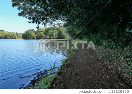 靜岡縣伊東市一碧湖(禦池)散步道 靜岡縣伊東市一碧湖(禦池)散步道 115820550