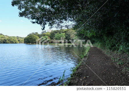 靜岡縣伊東市一碧湖(禦池)散步道 靜岡縣伊東市一碧湖(禦池)散步道 115820551