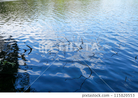 Lake Ippeki (large pond), Ito City, Shizuoka Prefecture Lake Ippeki (large pond), Ito City, Shizuoka Prefecture 115820553