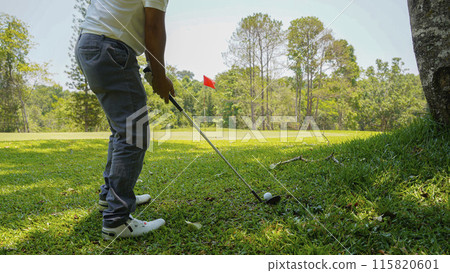 Golfer are playing game golf and hitting go on green grass mountain background. 115820601