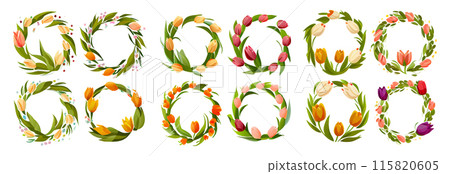 set vector illustration of group flower isotated on white background mothers day concept set vector illustration of group flower isotated on white background mothers day concept 115820605