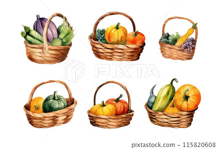 watercolor set vector illustration of autumn pumpkin harvest on a basket isolated on white background 115820608