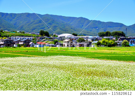 View of the area around Minowa Kita Elementary School (Minowa Town, Nagano Prefecture) [June 2024] 115820612
