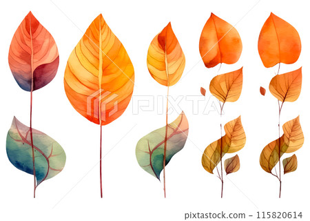 set watercolor autumn fern leaves on a white background 115820614