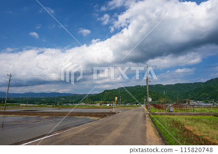 Izu no Kunihara Landscape: Rural Landscape 115820748