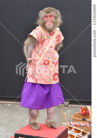 猴子的猴子 115820809