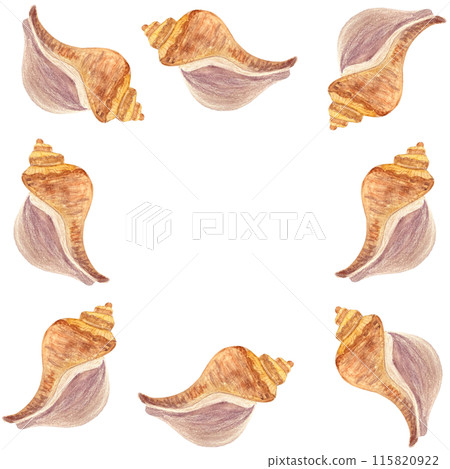 Shell frame in watercolor hand-drawn isolated on white. High quality illustration for notebooks, cards, posters, restaurant menu, souvenirs, stickers, tourism ads, dishes, room design and decor 115820922