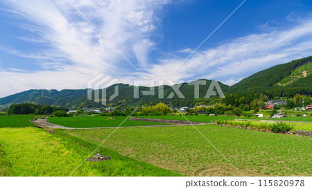 靜岡縣富士宮市湯野的田園風光 115820978